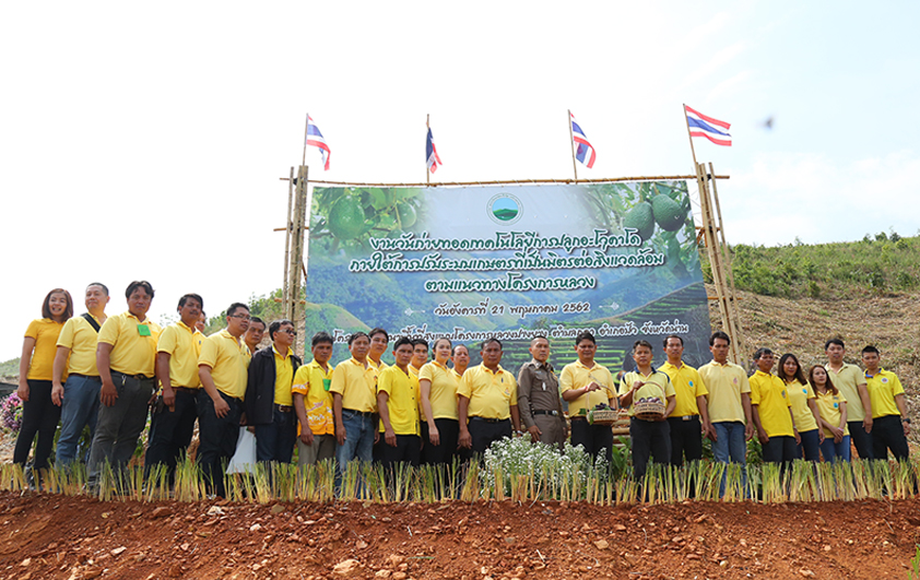 ปางยางตั้งเป้าเป็นแหล่งรวบรวมพันธ์และผลผลิตอะโวคาโดใหญ่ที่สุดในจังหวัดน่าน