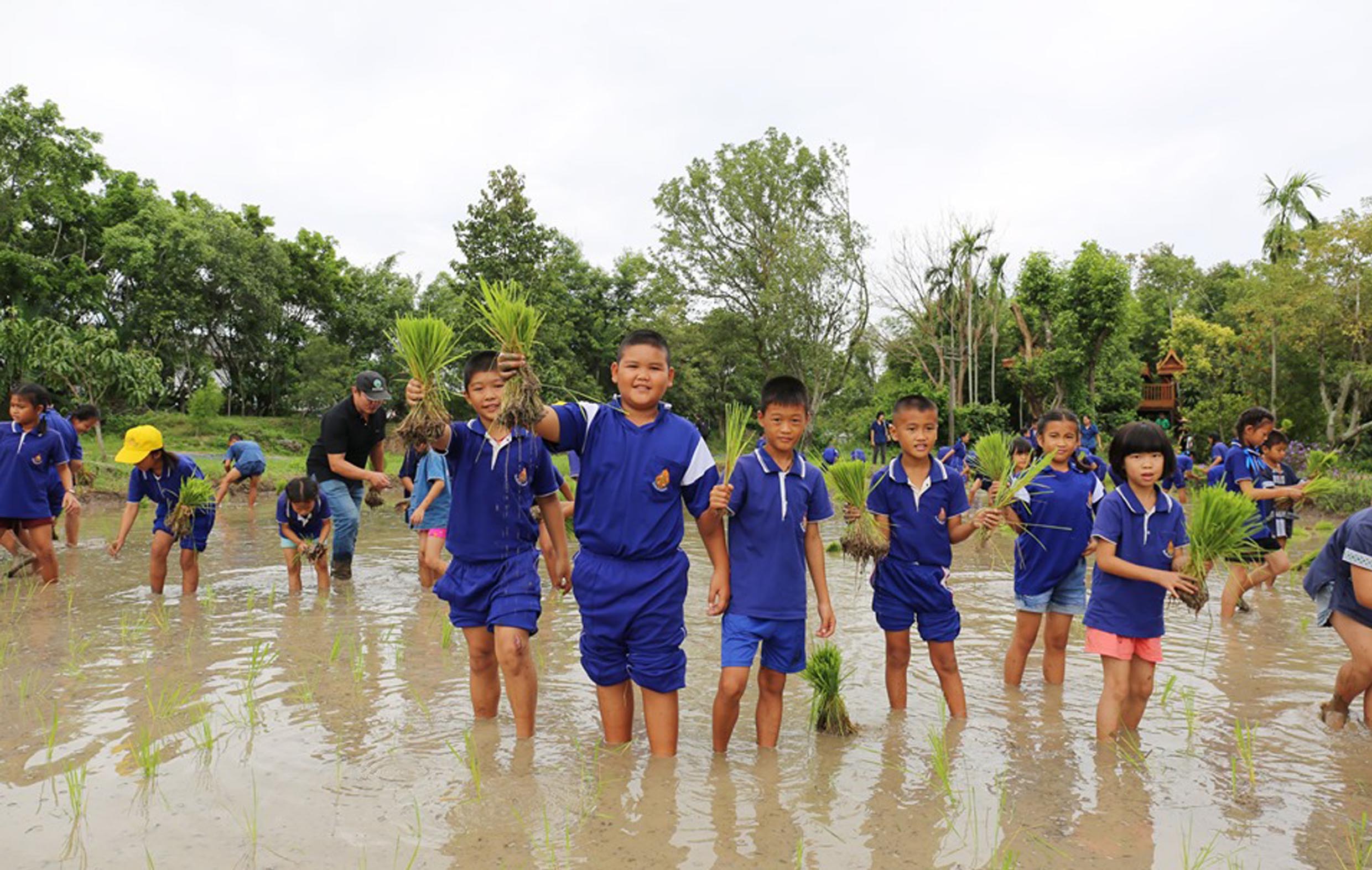 ปลูกข้าววันแม่ สืบสาน เรียนรู้ เศรษฐกิจพอเพียง