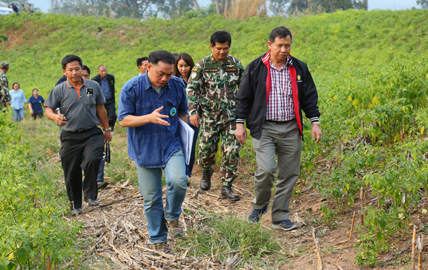 ประธานอนุวิจัยและพัฒนา พร้อมคณะอนุกรรมการเข้าตรวจเยี่ยมพื้นที่ ผาผึ้ง - ศรีคีรีรักษ์