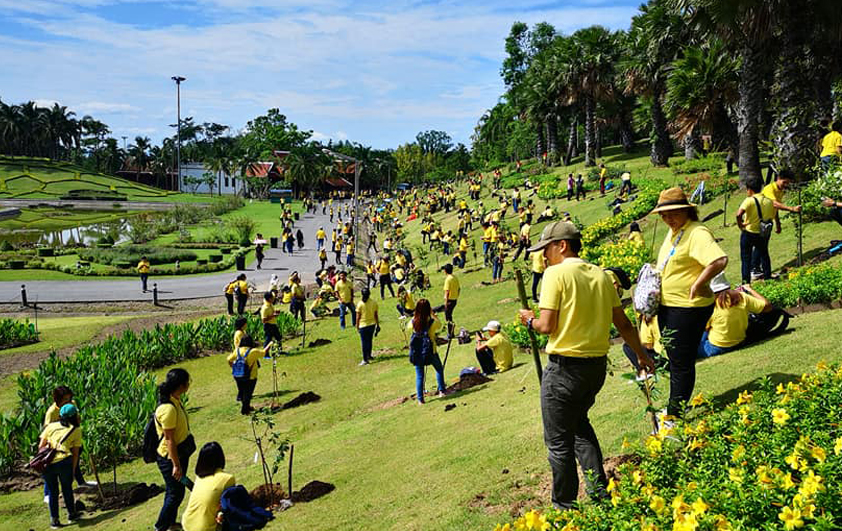 สวพส. รวมใจปลูกต้นรวงผึ้ง เฉลิมพระเกียรติฯ ในโอกาสมหามงคลพระราชพิธีบรมราชาภิเษก