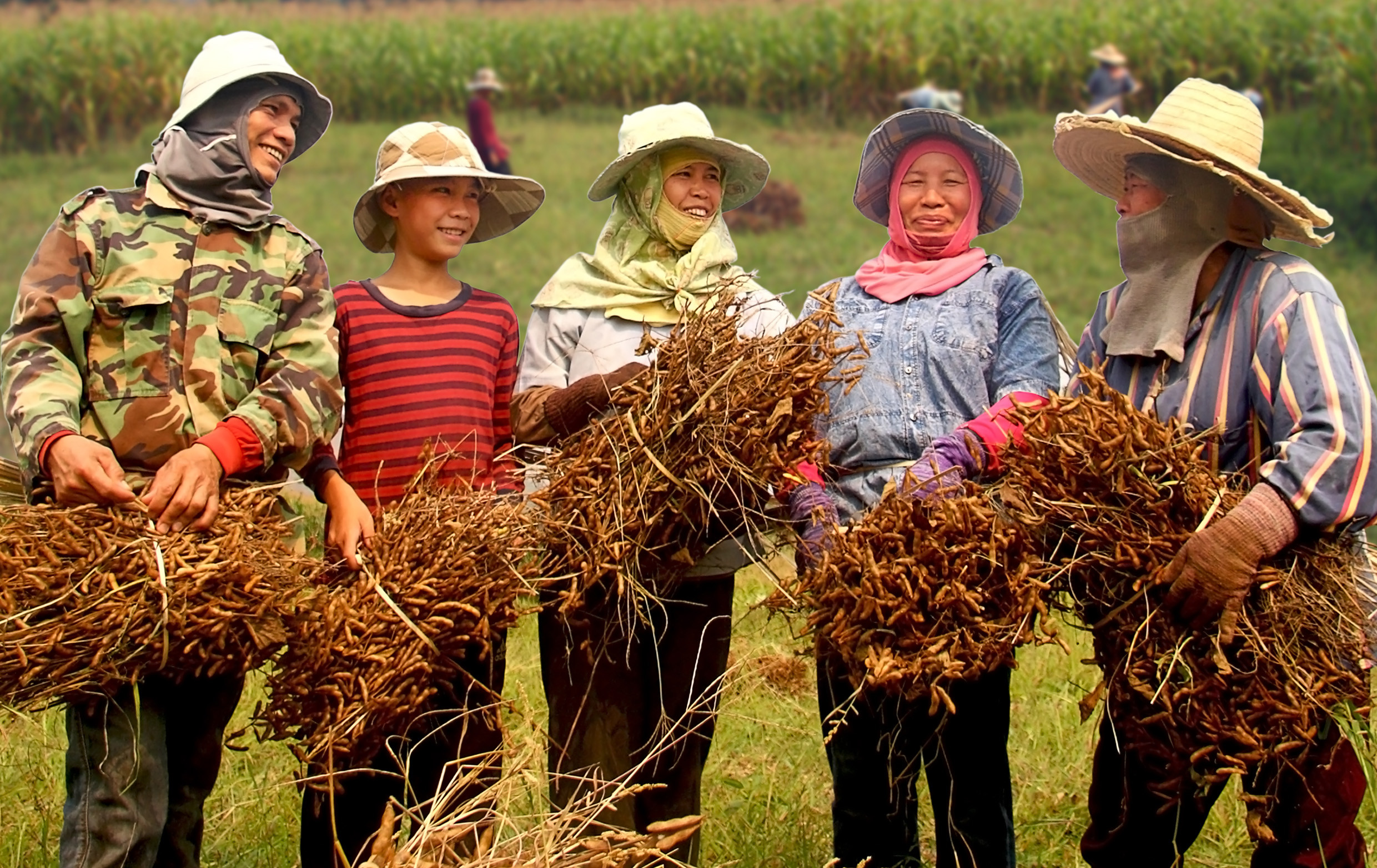 โครงการพัฒนาพื้นที่สูงแบบโครงการหลวงแม่จริม ชุมชนนี้ ไม่มีเผา