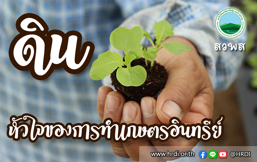 ดิน หัวใจของการทำเกษตรอินทรีย์