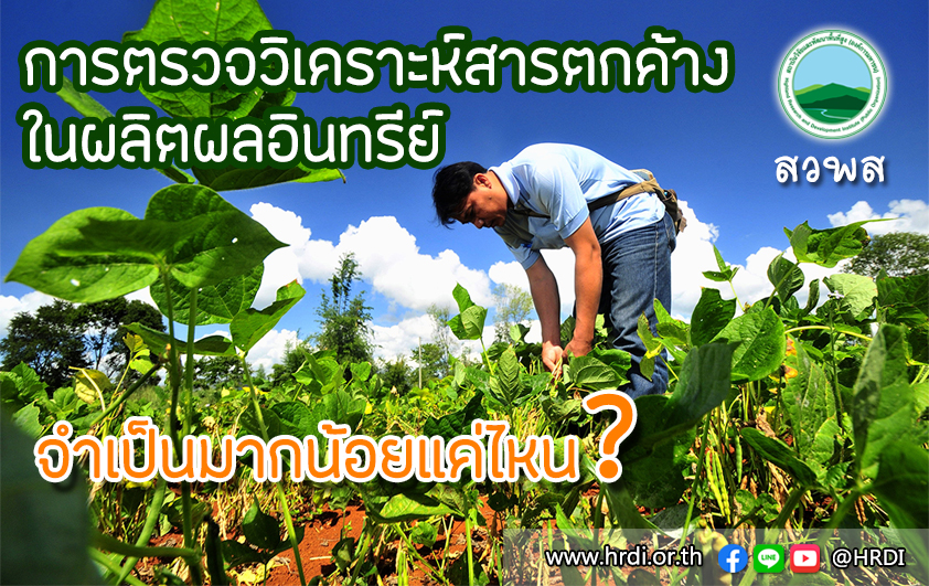 การตรวจวิเคราะห์สารตกค้างในผลิตผลอินทรีย์...จำเป็นมากน้อยแค่ไหน?