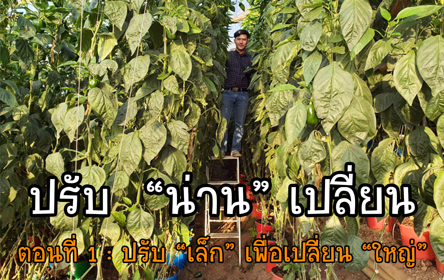 ปรับ “น่าน” เปลี่ยน ปรับ “เล็ก” เพื่อเปลี่ยน “ใหญ่” จากถังพลาสติกสู่ Zero Waste ได้อย่างไร