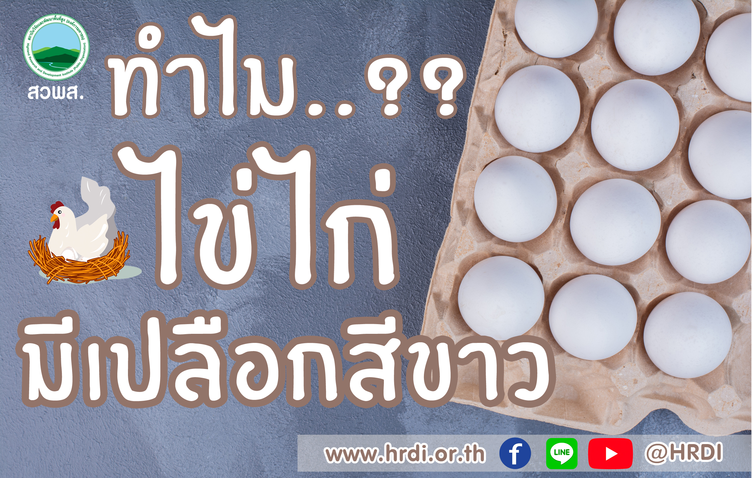 ไข่ไก่เปลือกสีขาว