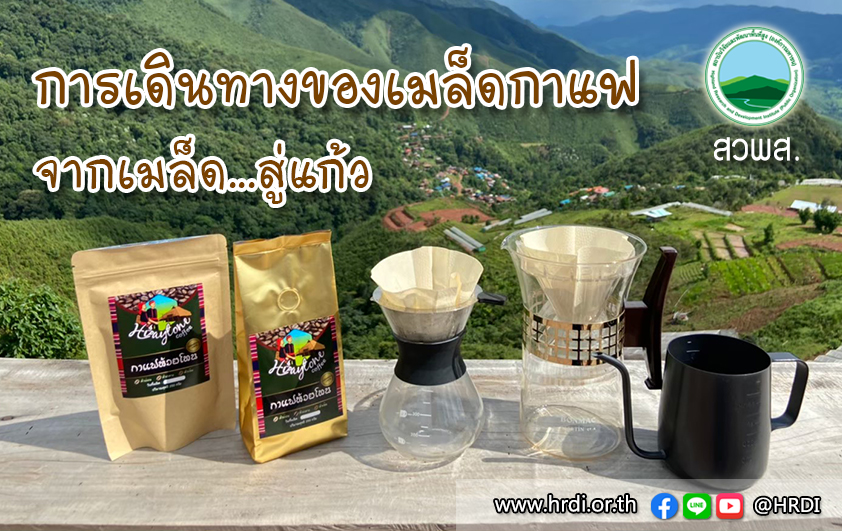 การเดินทางของเมล็ดกาแฟ..จากเมล็ด..สู่แก้ว