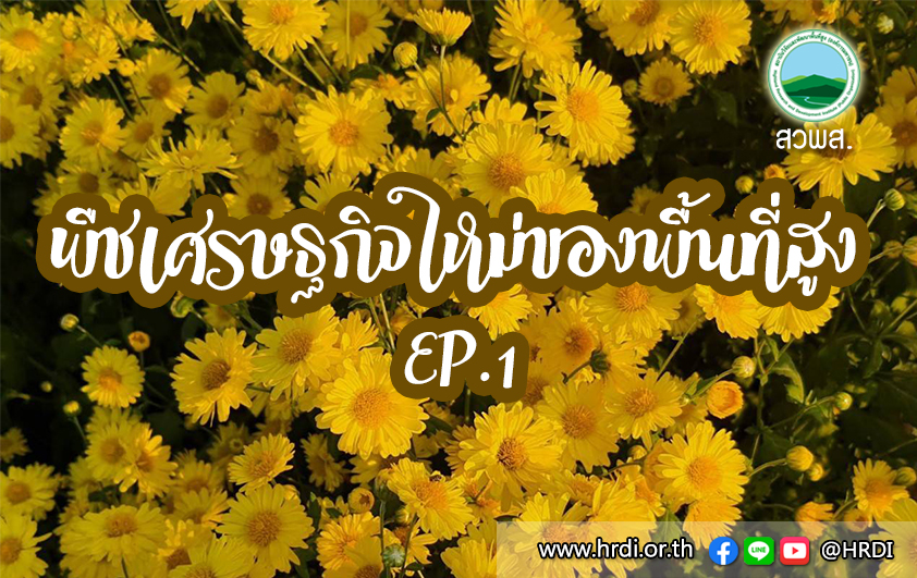 พืชเศรษฐกิจใหม่ของพื้นที่สูง (EP.1)