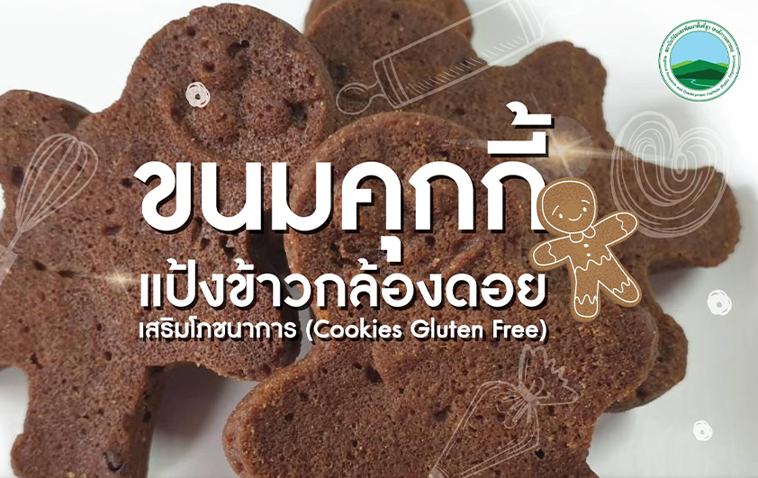 ขนมคุกกี้แป้งข้าวกล้องดอย เสริมโภชนาการ 