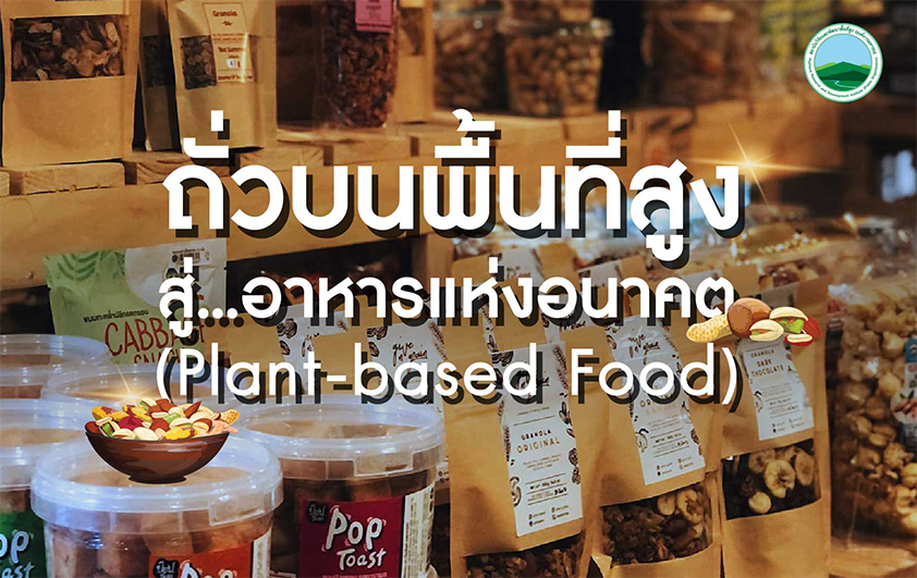 ถั่วบนพื้นที่สูง……สู่อาหารแห่งอนาคต (Plant-based Food)