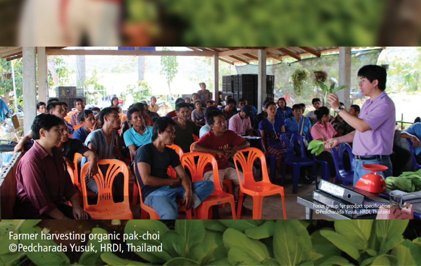 Organic vegetable production promotes sustainable livelihoods for Thai hill tribes