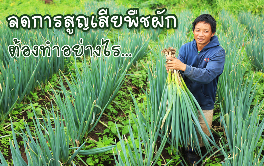 ลดการสูญเสียพืชผัก...ต้องทำอย่างไร